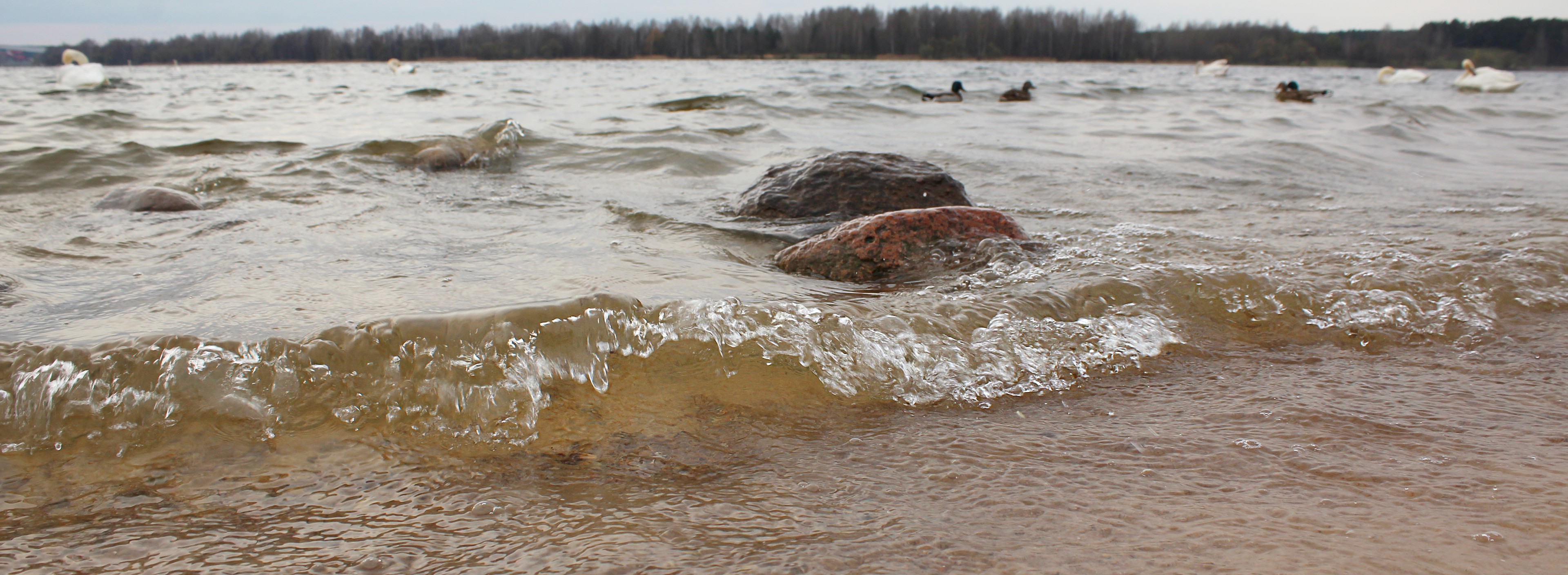 Waves breaking over stones in the shallows of a sandy lakeshore, the water clouded brown with sediment