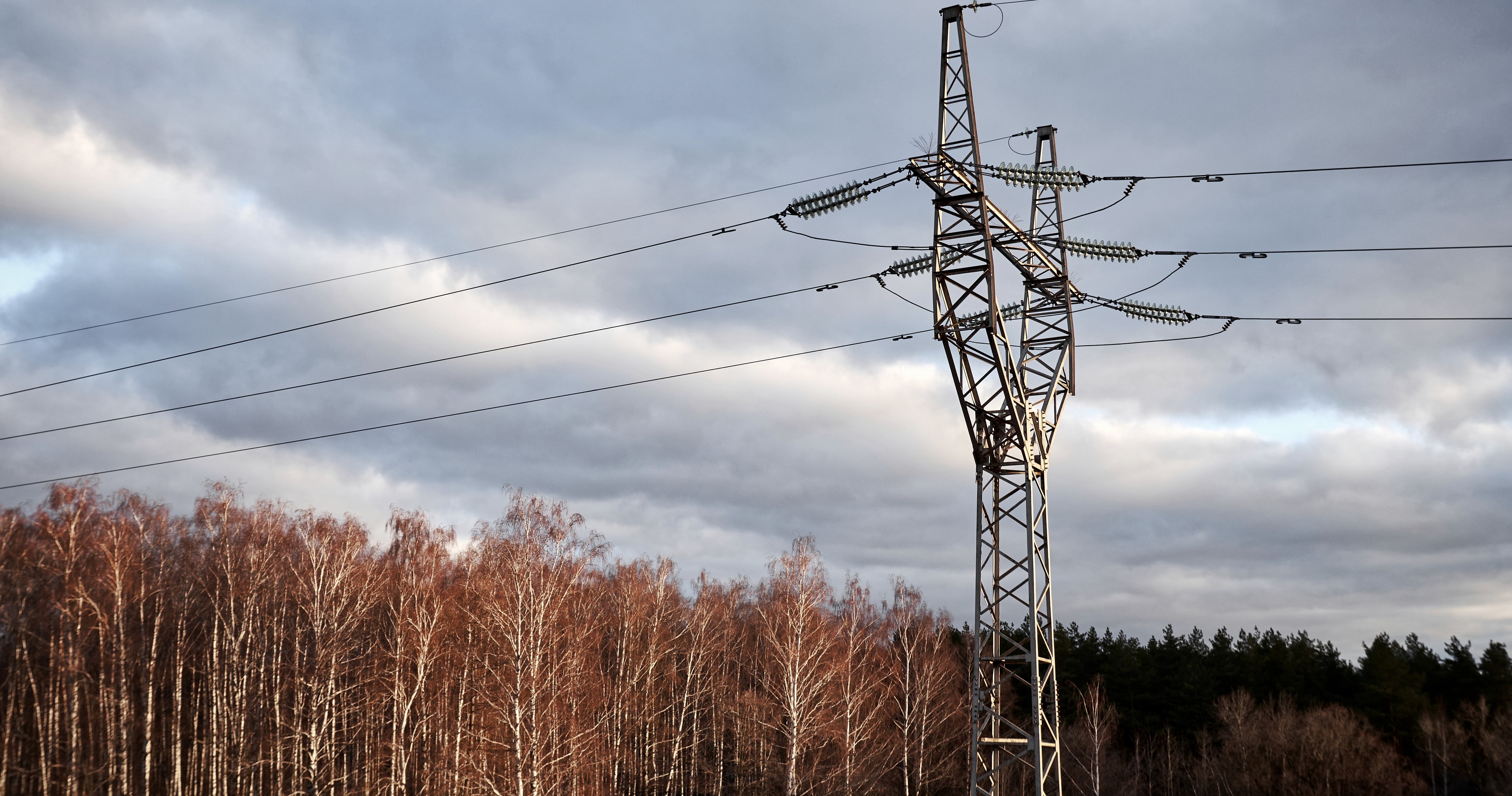 A lattice transmission tower on the right, three conductor bundles crossing an overcast sky, and a bare treeline under the lowest line.