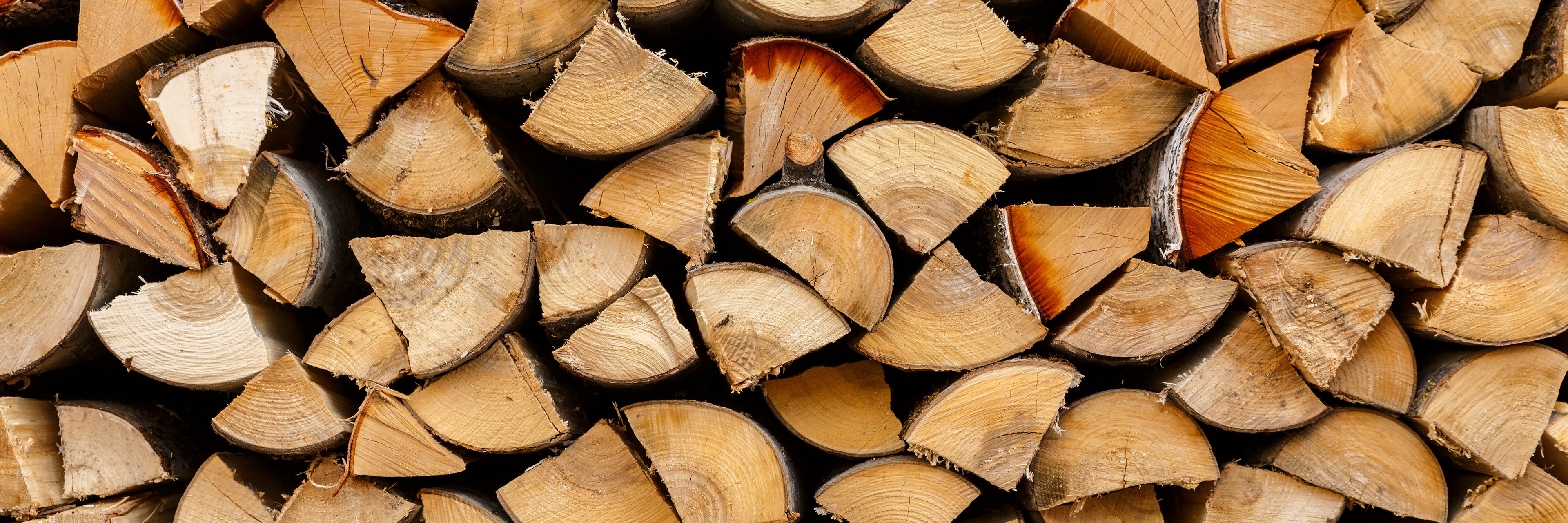 Stacked firewood under a snow-covered lean-to